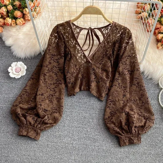 Dark Academia Lace Hollow Blouse - V-Neck Puff